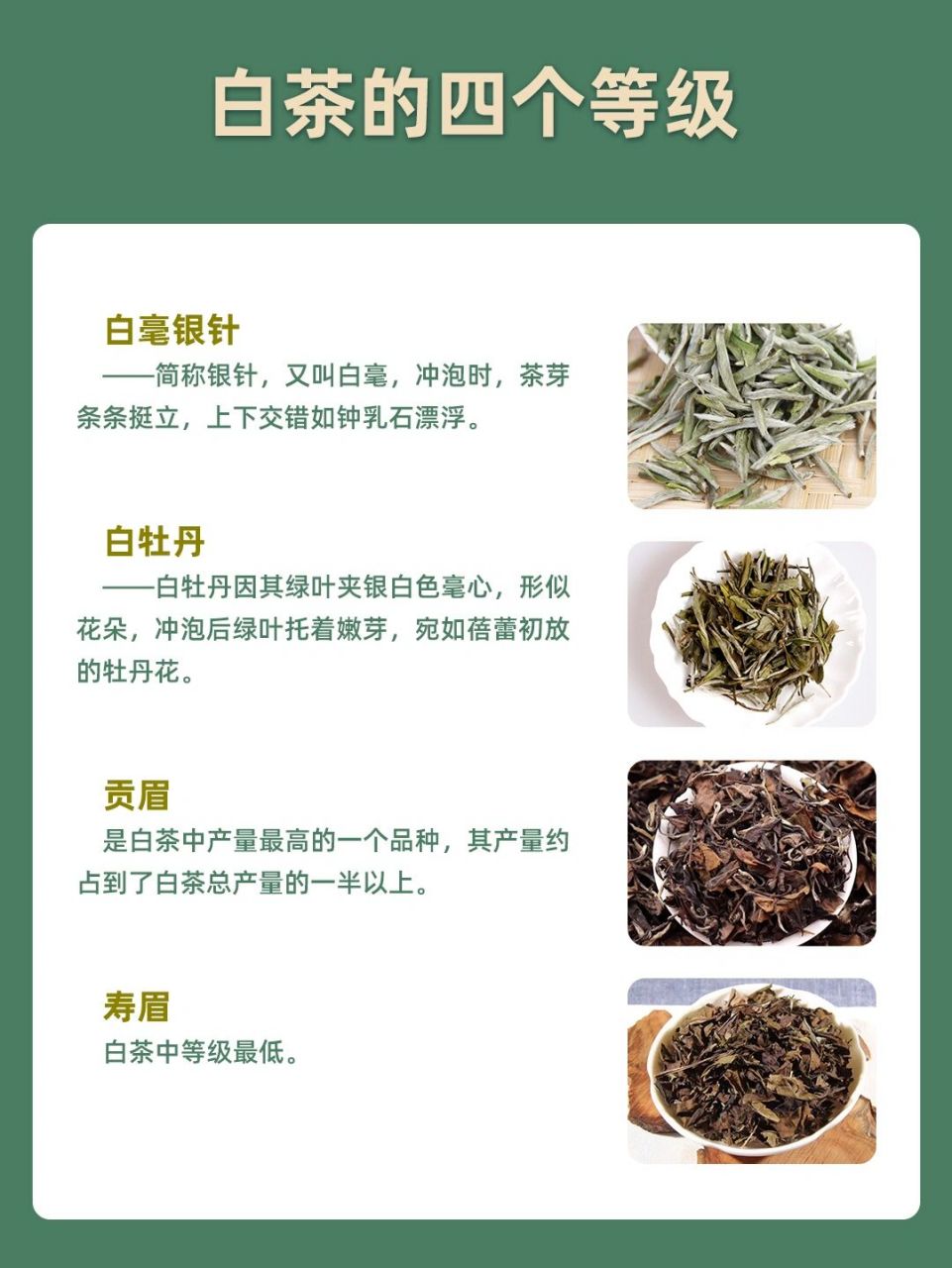 白茶的四个等级你了解吗?