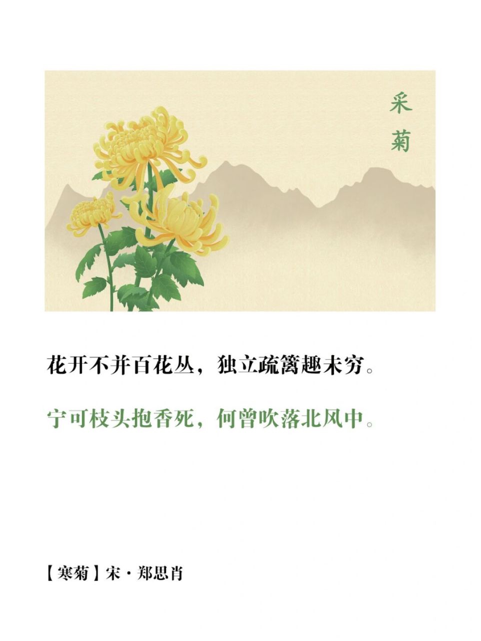 诗词摘抄|宁可枝头抱香死,何曾吹落北风中 菊花一直备受文人墨客的