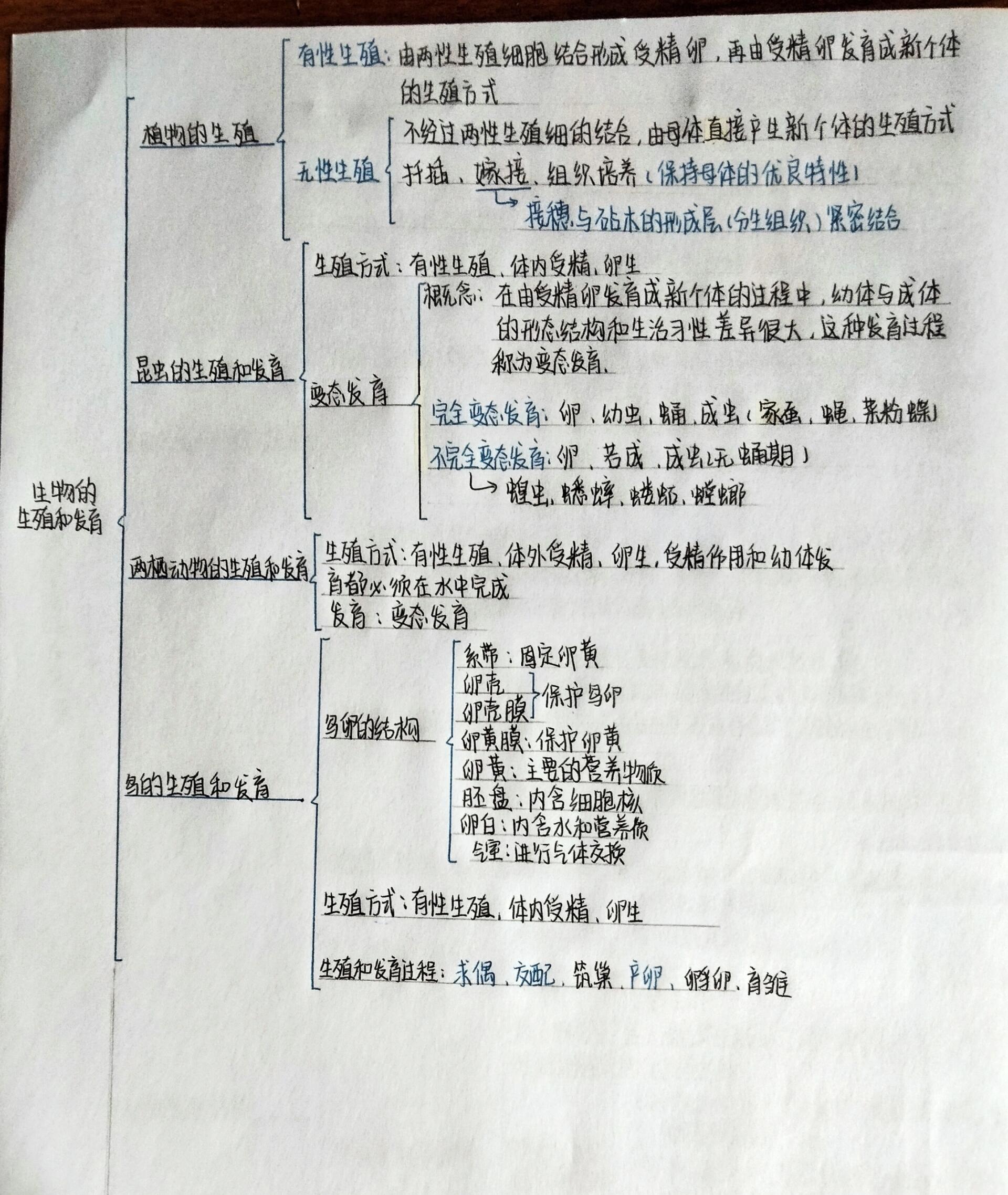 八年级下册生物思维导图