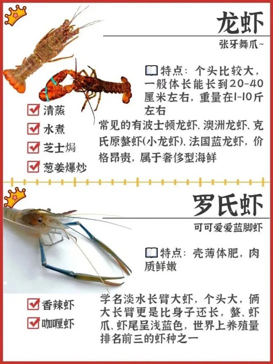 常见虾的区别与特点大汇总 🦐对虾 ◎一般指东方对虾,又叫明虾