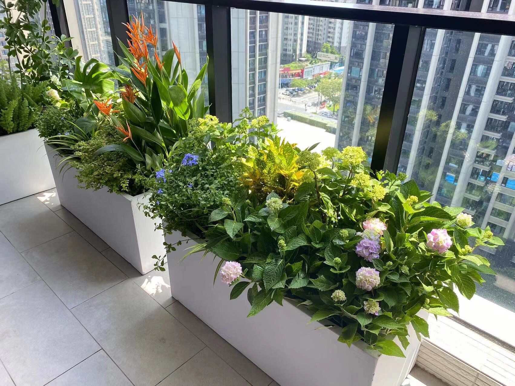 阳台花园设计花箱网红绿植盆栽搭配造景效果  珠海五洲花城三期客户