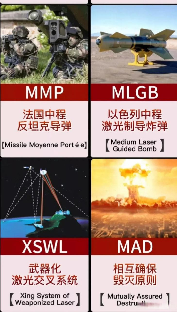 各国导弹防御系统的英文简称,感觉是不是在骂人,谁能翻译一下