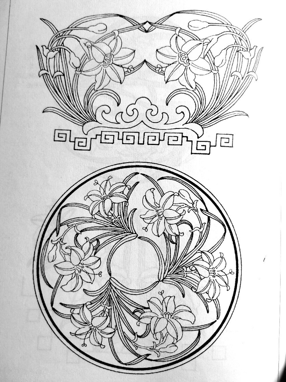 萱草常见到的观赏品种为单瓣营草.