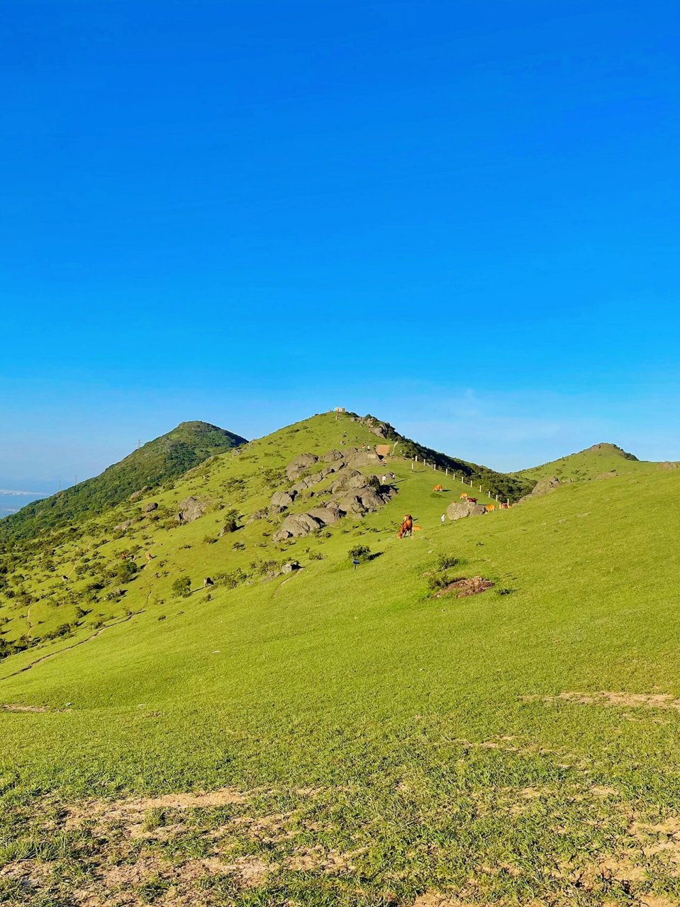 不用去瑞士的草场 在福州也能看到天然大草场 这里的空气都是青草的