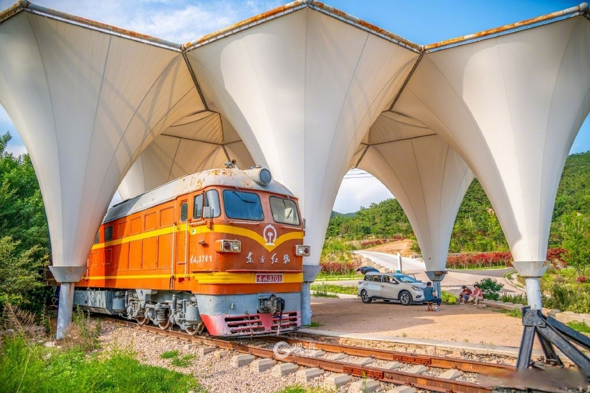 【#青岛百果山里藏着一列绿皮火车#】橘红色的车头,深绿色的车厢,苍翠