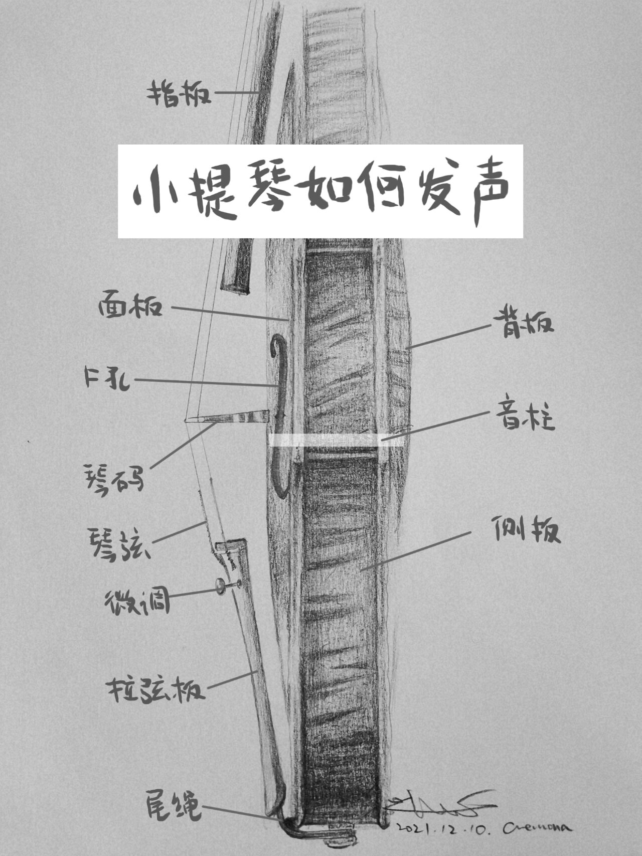 手绘小提琴发声原理