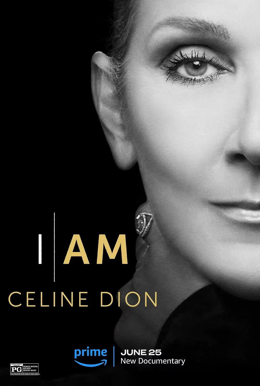 celine dion 大家习惯叫她席琳迪翁 她是我的idol 她是我西欧流行