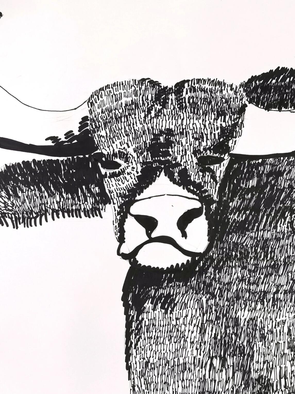 三年级线描水牛