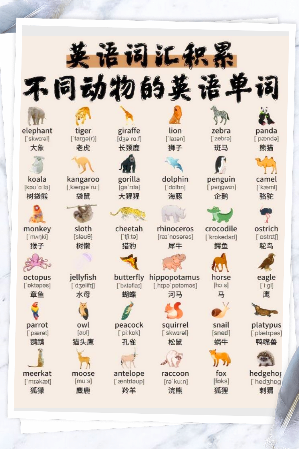 10种动物名称