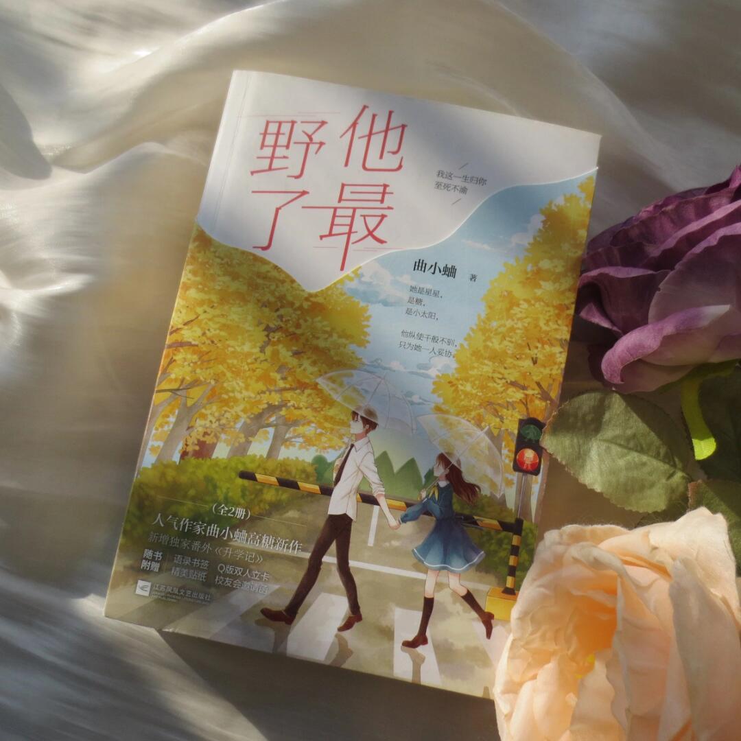 曲小蛐的书,从不让人失望!《他最野了》