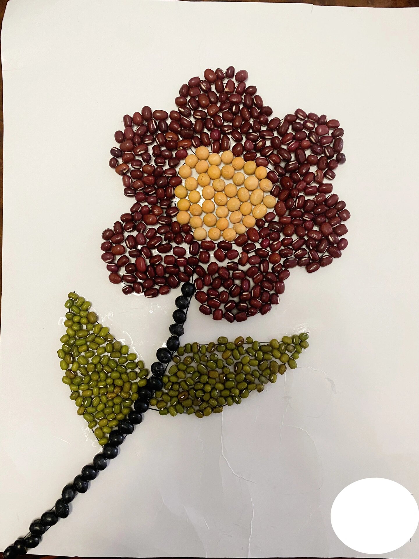 中班豆子粘贴画