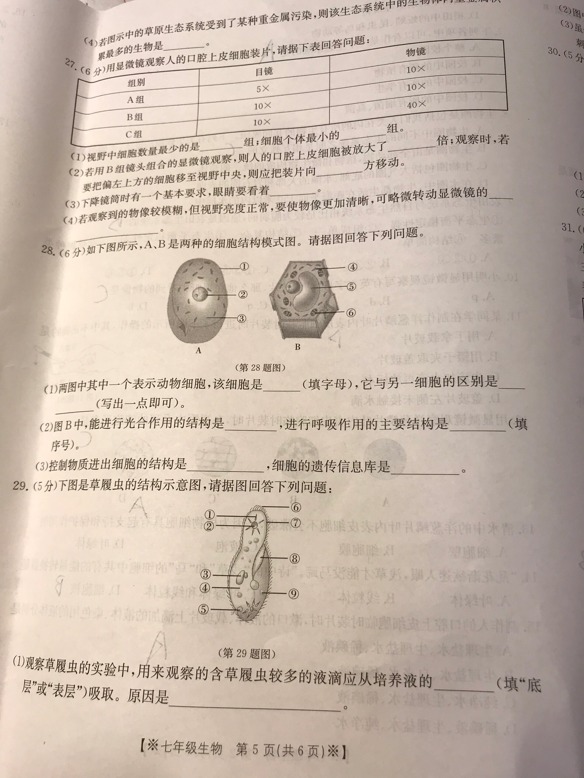 七年级上册生物期中卷子b卷