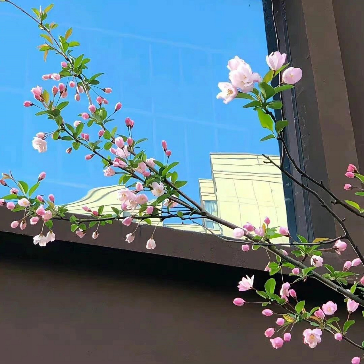 微信朋友圈背景 宝子们99,今天给大家分享一些超好看的微信朋友圈