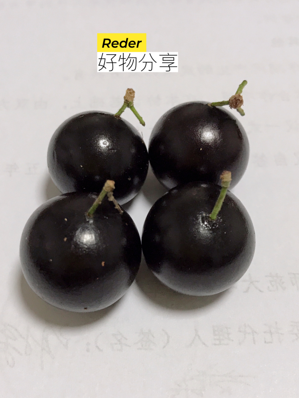 嘉宝果小科普 (图1)嘉宝果的果柄绿色的很细(图2)不带果柄的嘉宝果也