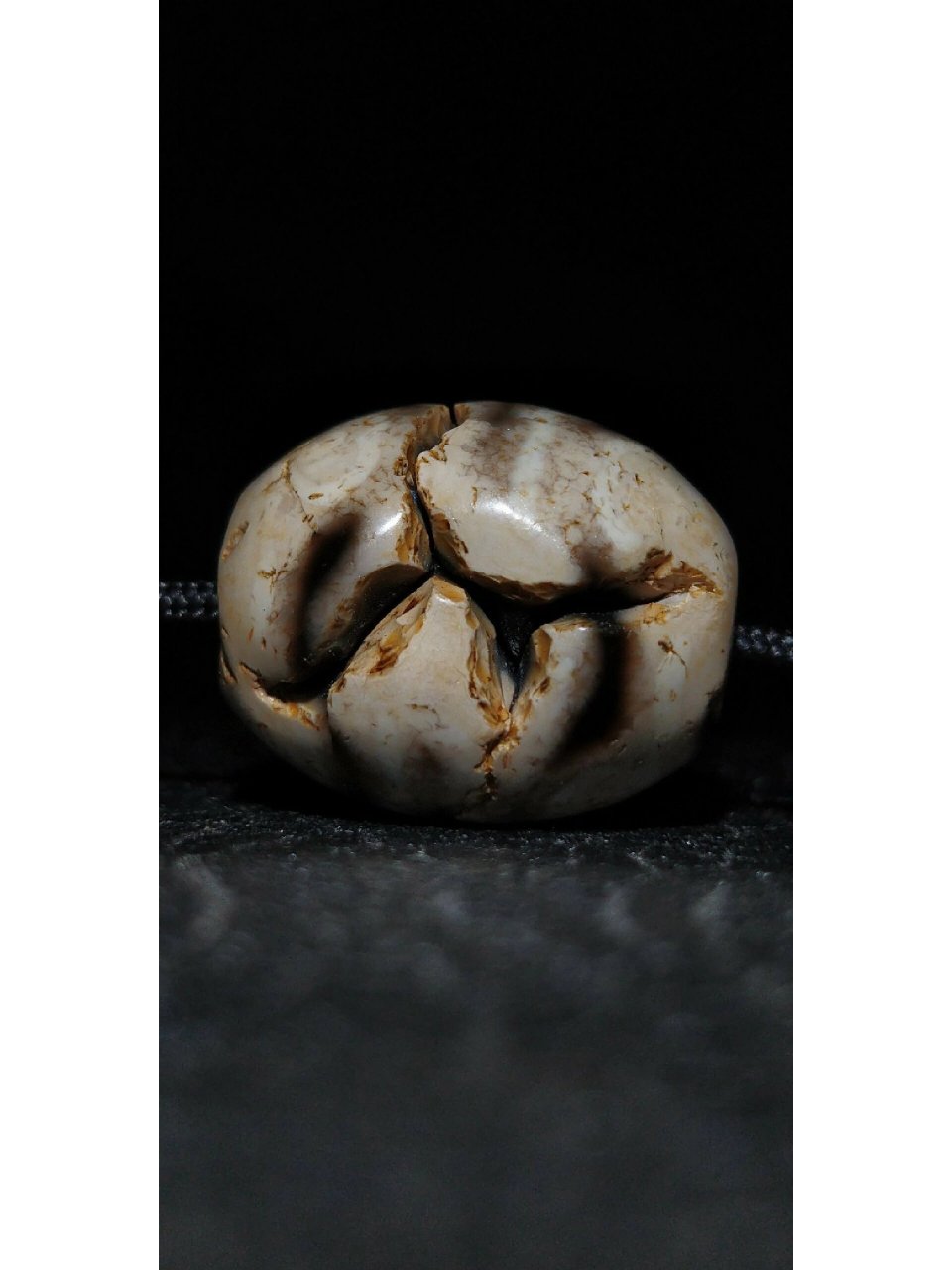 火供钙化达洛天珠 火供钙化达洛双虎牙天珠,老气横秋,香灰火供开裂很