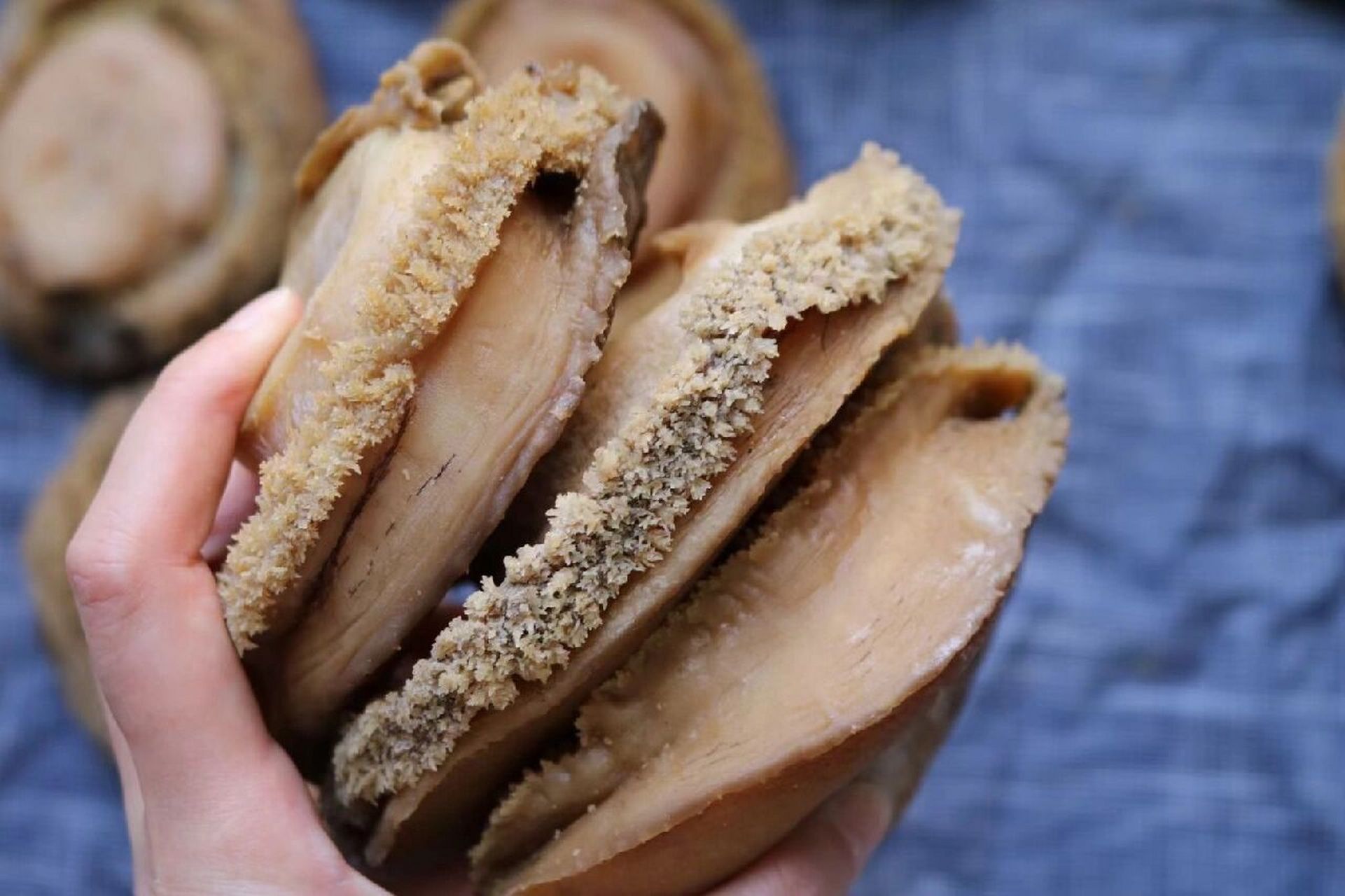 2头南非鲍鱼  所谓"千金难买双头鲍",一只双头鲍鱼价值极高.