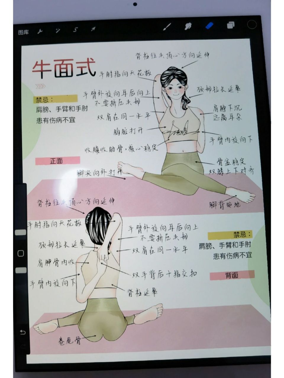 yoga |  瑜伽体式详解 | 牛面式 哈喽,我是大表姐 一个兼职瑜伽教练的