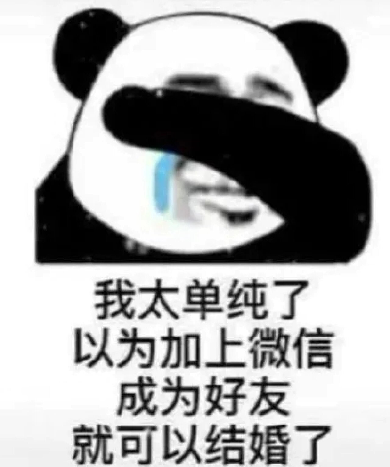 满脸单纯表情包图片