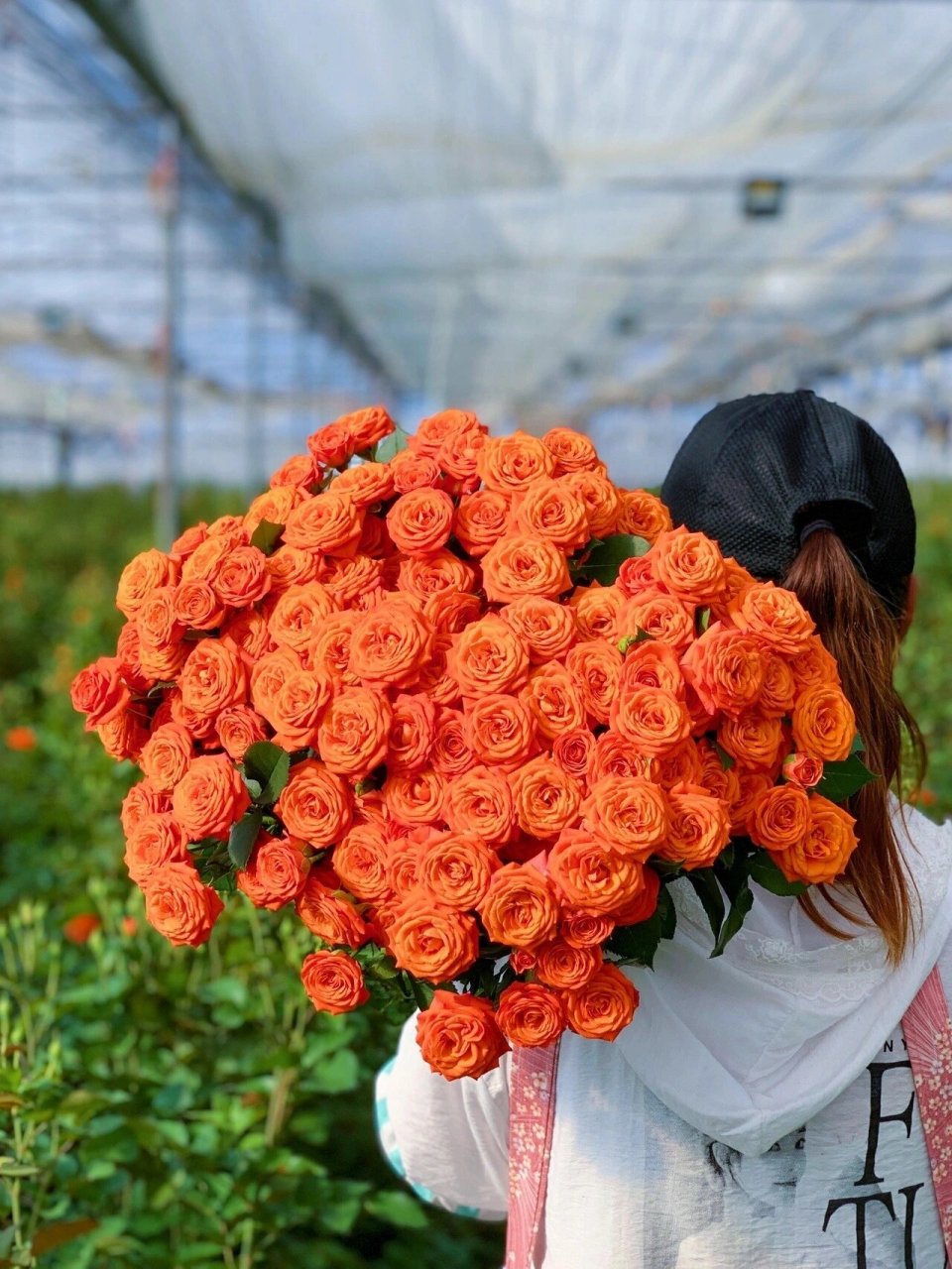 a级橙色芭比多头泡泡玫瑰太漂亮了 橙色芭比的花语是我爱的是你,神秘