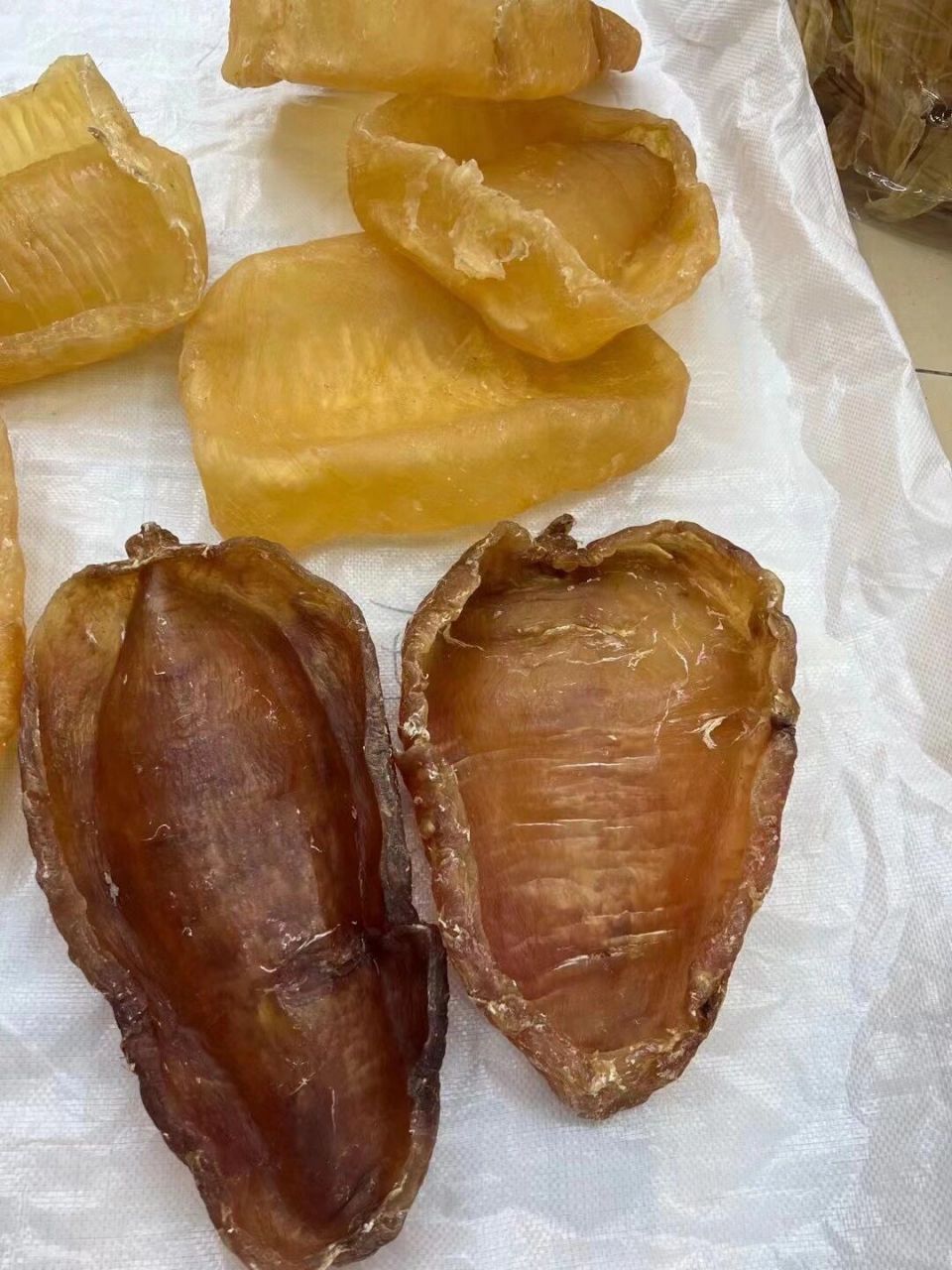 斗湖胶经典 珍藏版大斗湖鱼胶,净重1.6-2斤/个