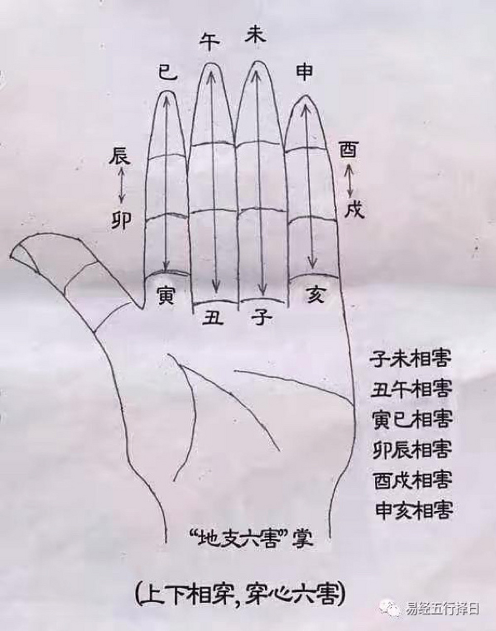 天干地支相互作用关系 天干五合 : 甲己合化土,乙庚合化金,丙辛合化水