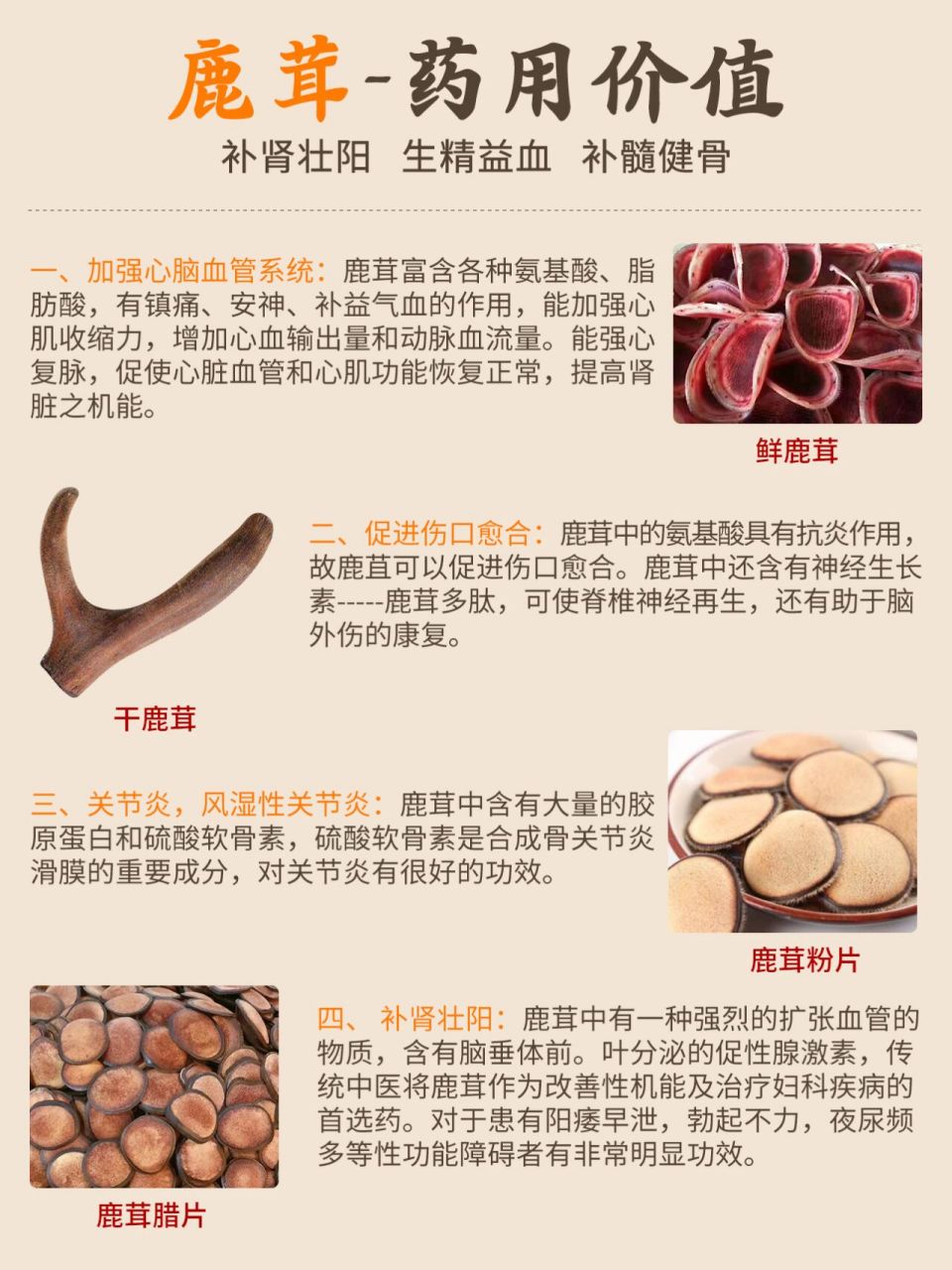 鹿茸片怎么吃图片