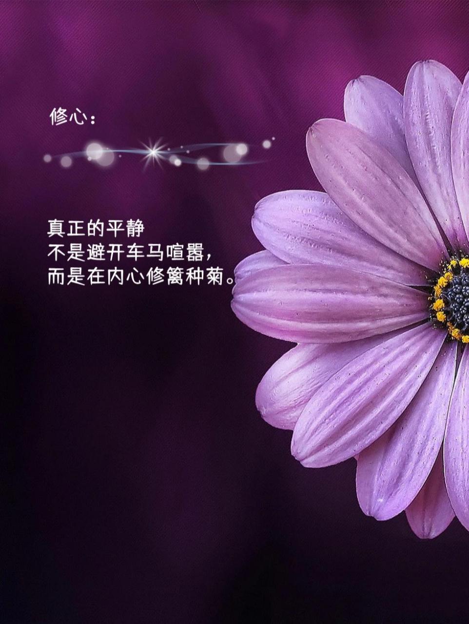 文摘98‖适合修心养性发朋友圈的优美句子 文摘98‖适合修心养性