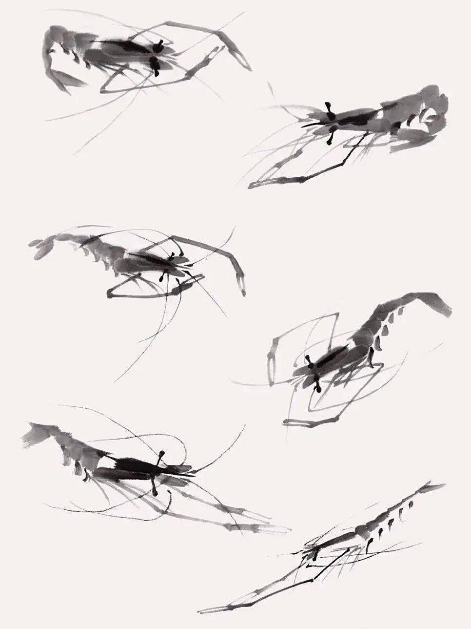 齐白石的虾画法