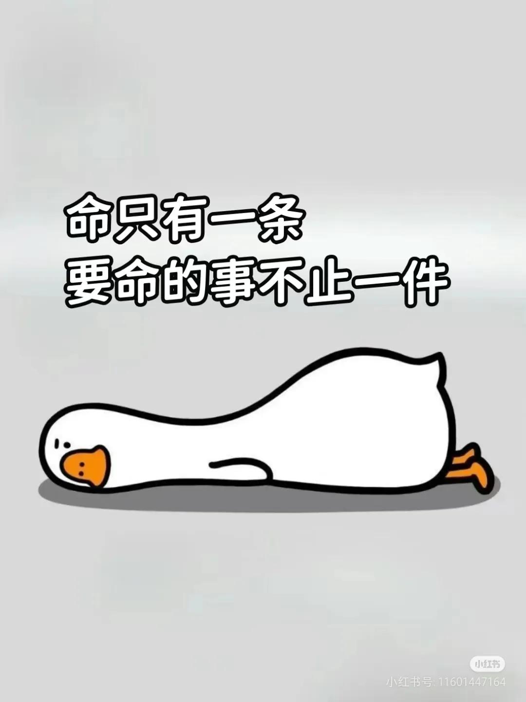 命只有一条,要命的事不止一件