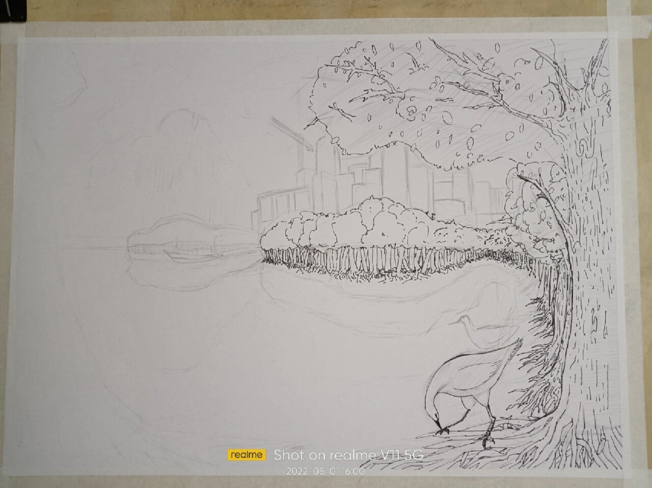 湛江市"红树林之城"绘画比赛作品