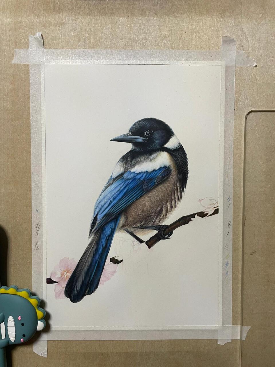彩铅绘画《喜鹊登梅》 彩铅手绘《喜鹊登梅》终于完成了,附步骤图,祝
