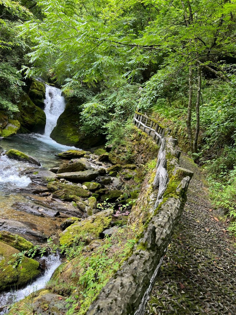 神農架保姆級攻略二day2木魚鎮附近景點詳細 82157月20住木魚