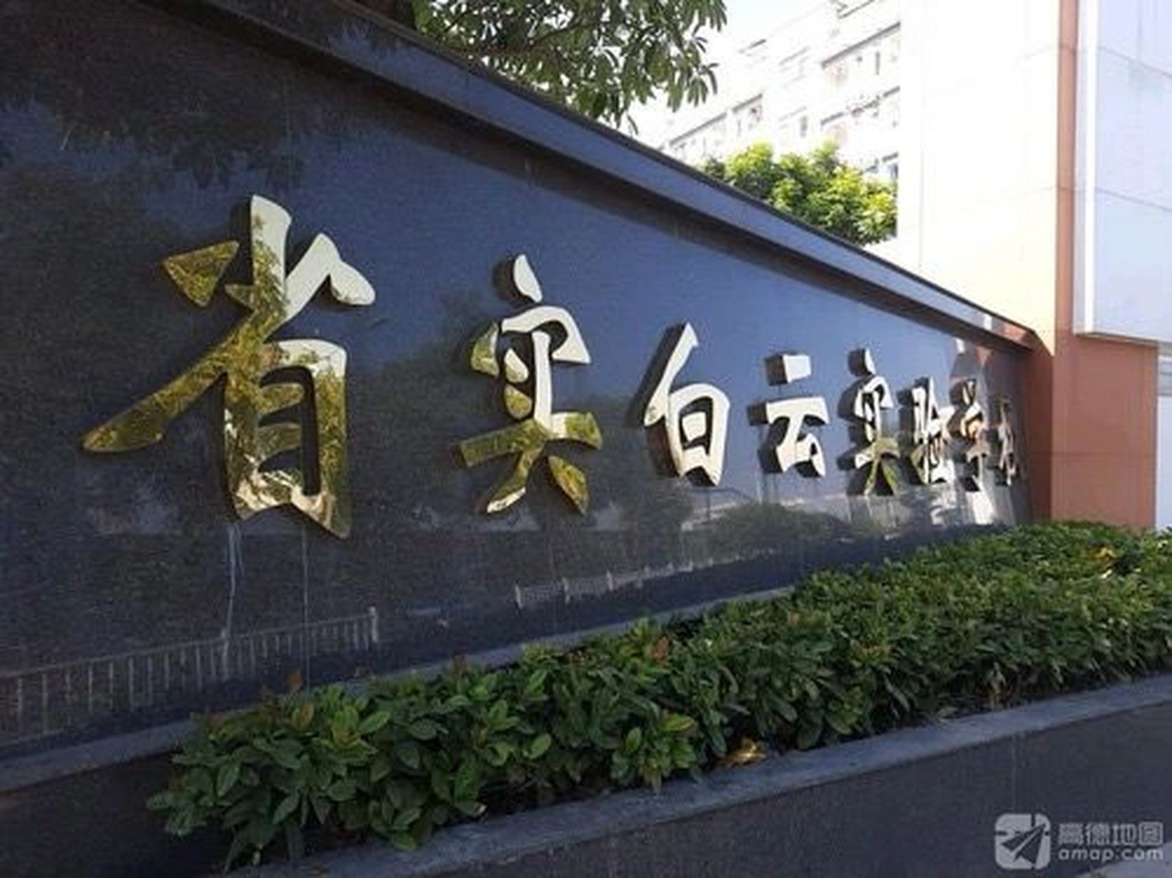 广州白云广雅实验学校图片