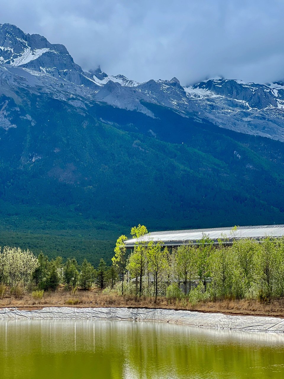 丽江玉龙雪山高尔夫球场 差点把这么美的风景忘记分享了 这是4月份的