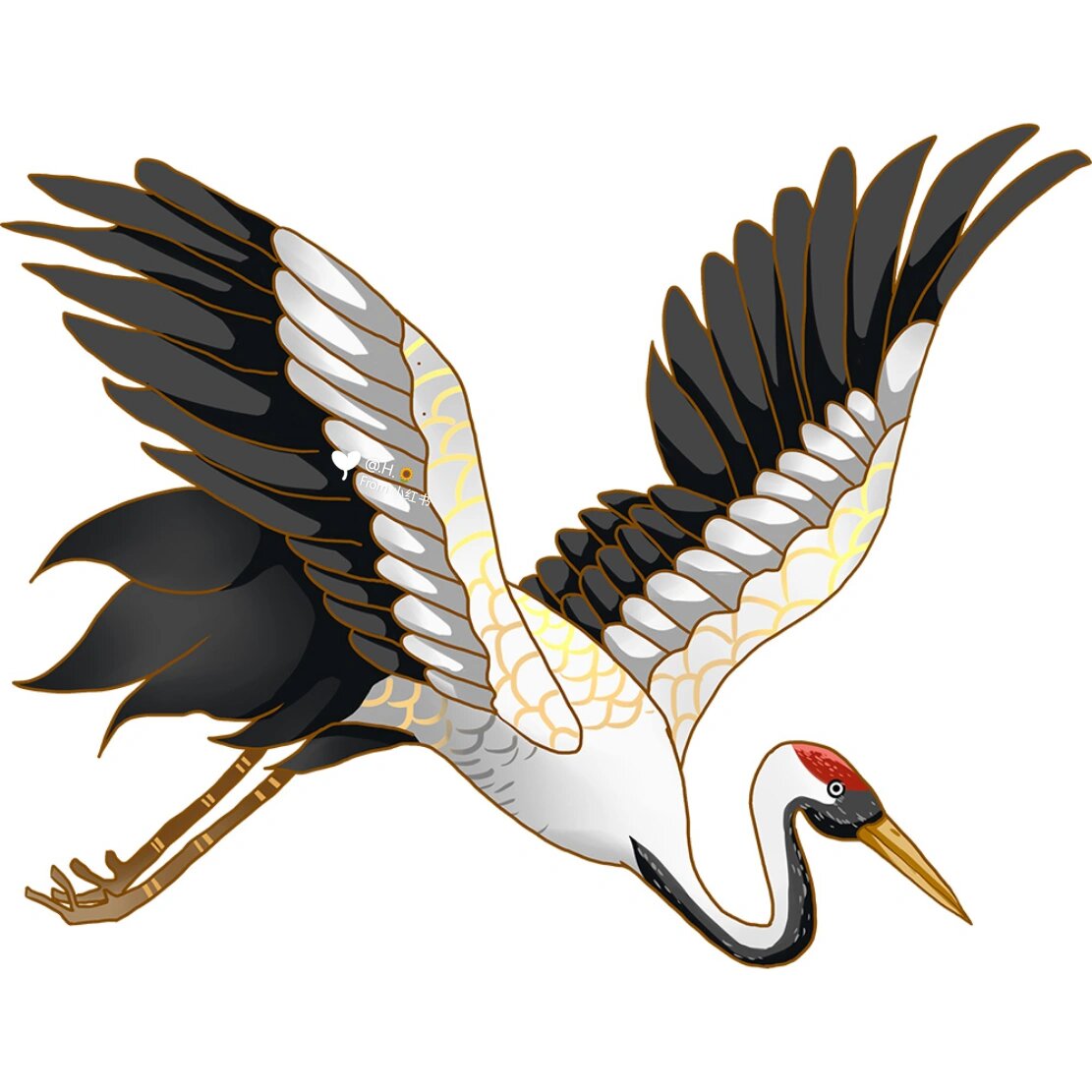 绘画素材‖中国风水墨&手绘飞天鹤