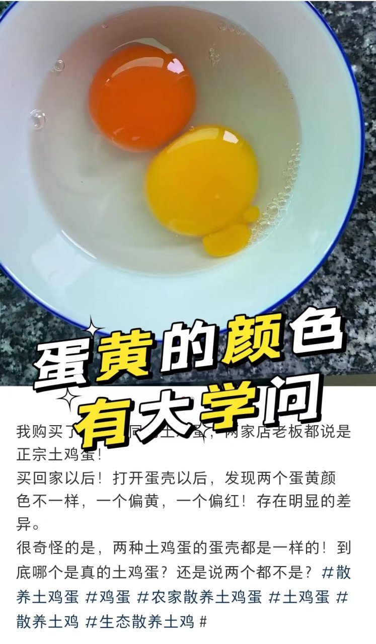 买了两家不同的土鸡蛋,蛋黄颜色不一样?