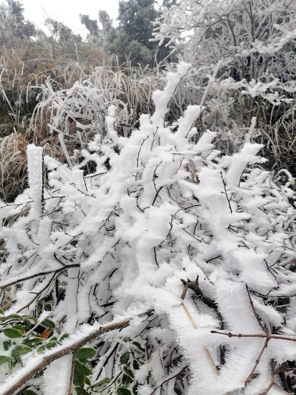 天湖雪景图片