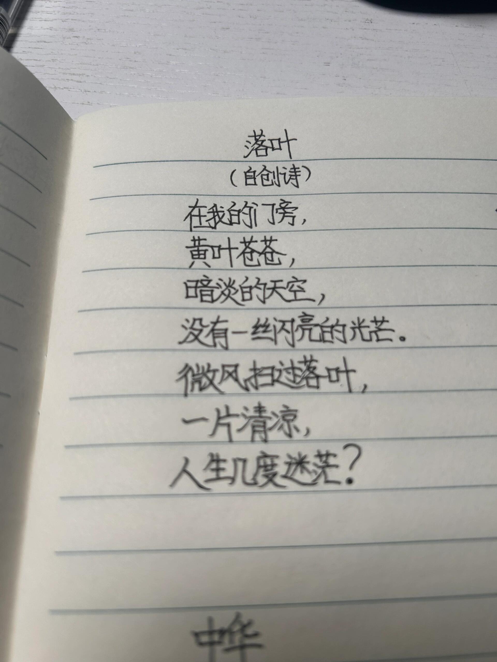 创作现代诗,十岁娃随手写了三首