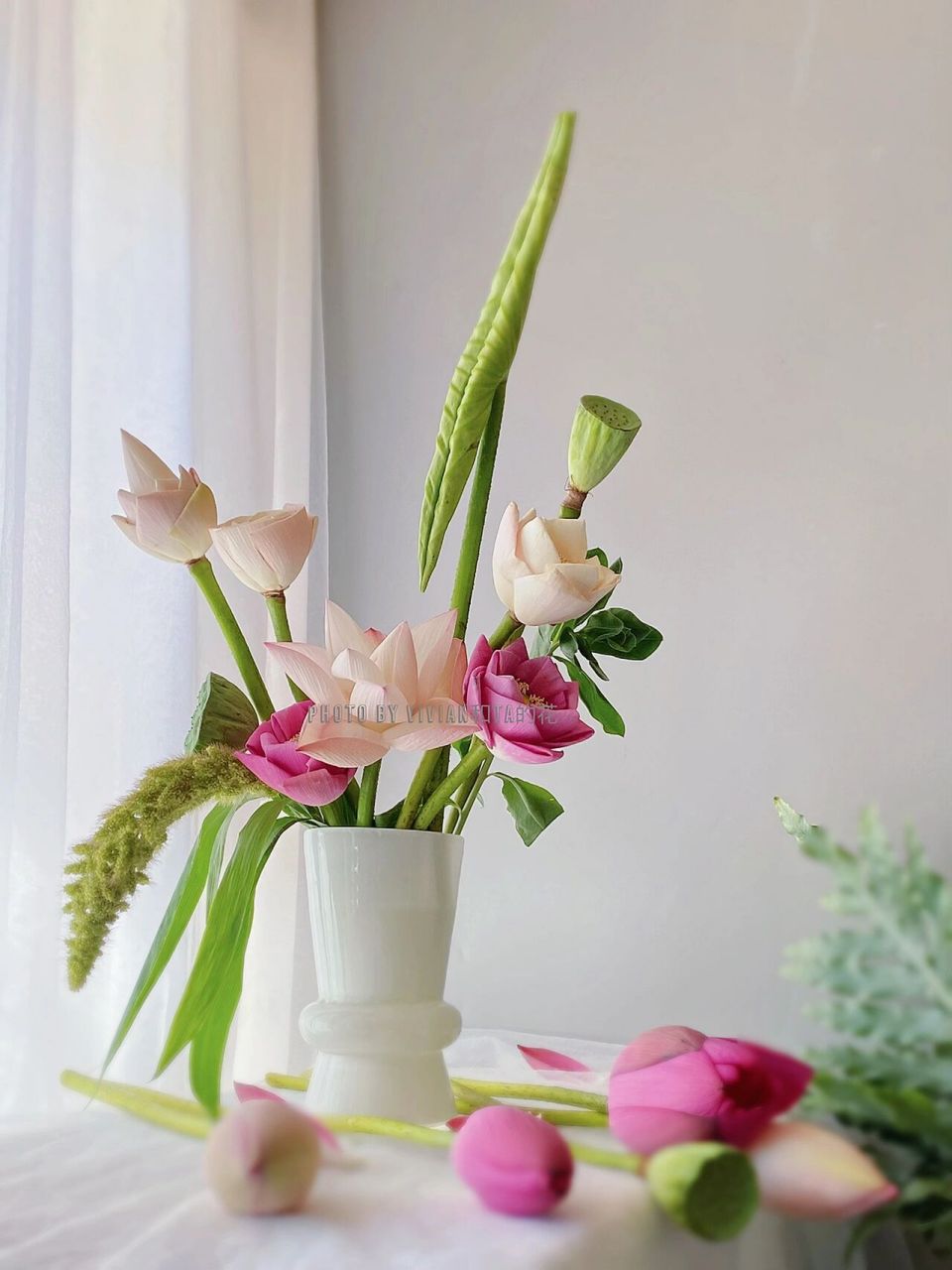 心存美好,万物皆美 心存善念,天必佑之.