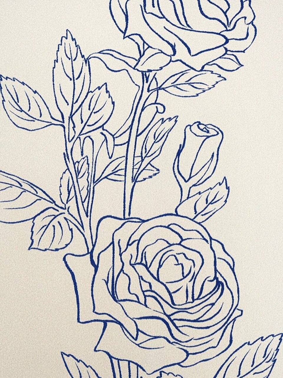 速写人间万象# #笔记灵感# 玫瑰花语:炙热的爱情,热恋,誓言,无悔91