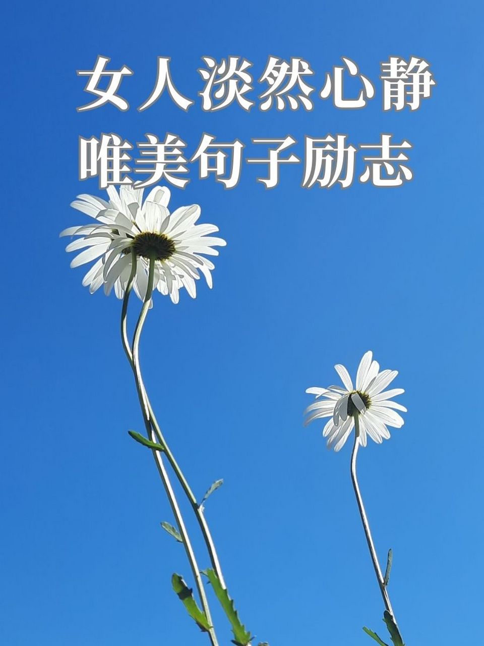 女人淡然心静唯美句子励志 1. 🌸静享时光,微笑向暖,便是幸福. 2.