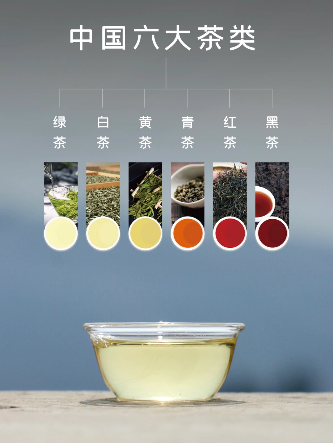 绿茶,白茶,红茶,六大茶类,你记住了么?