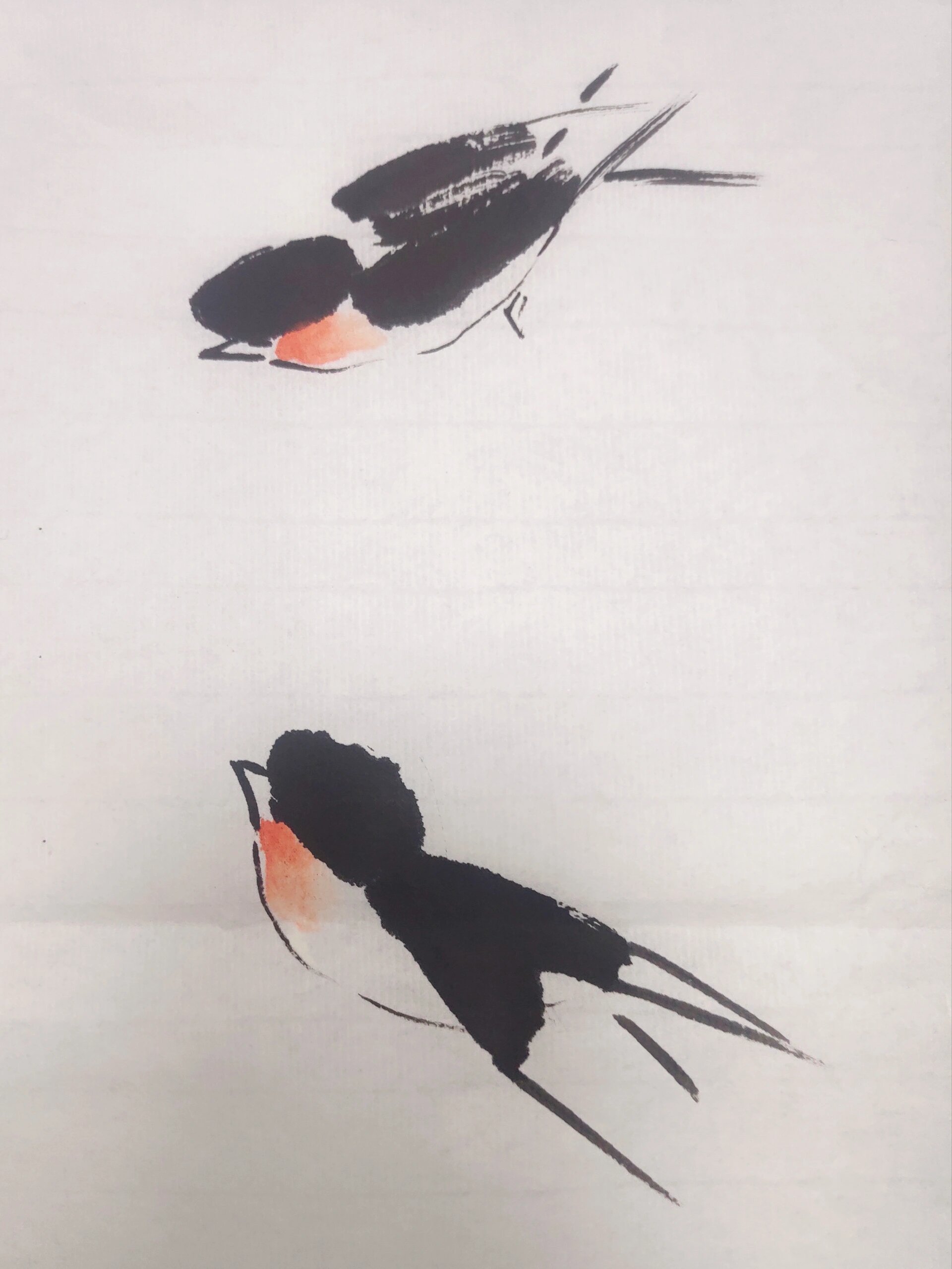 国画燕子不同姿态画法