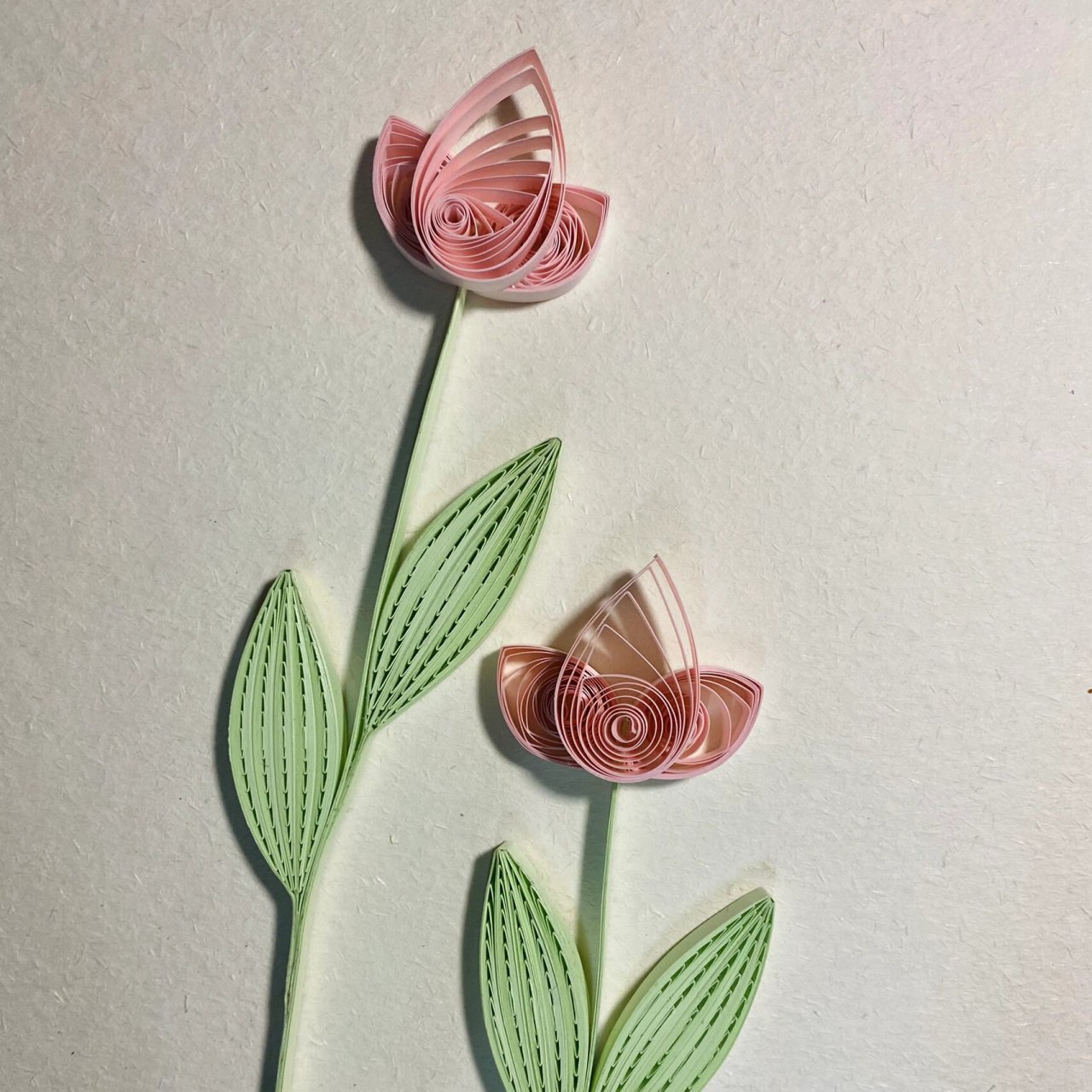 工具是:衍纸缠绕器和多功能衍纸尺. 卷衍纸的是衍纸棒,胶水是白乳胶.