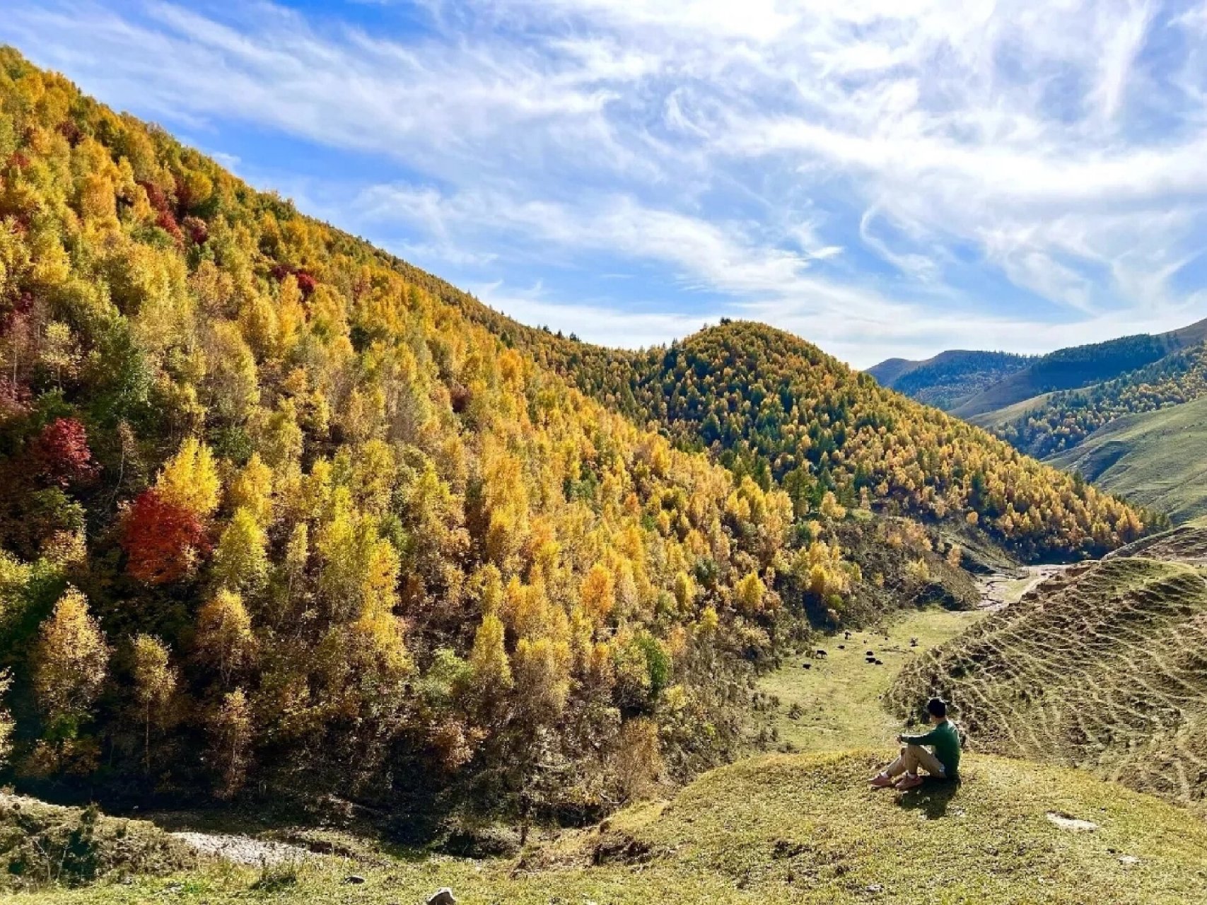 麻田岭风景区图片图片