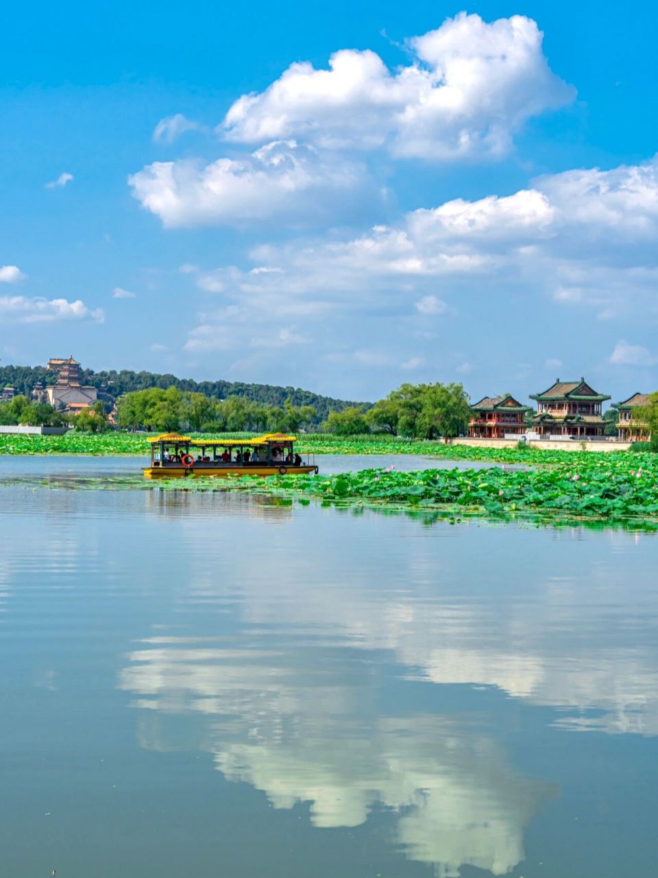 颐和园夏季图片