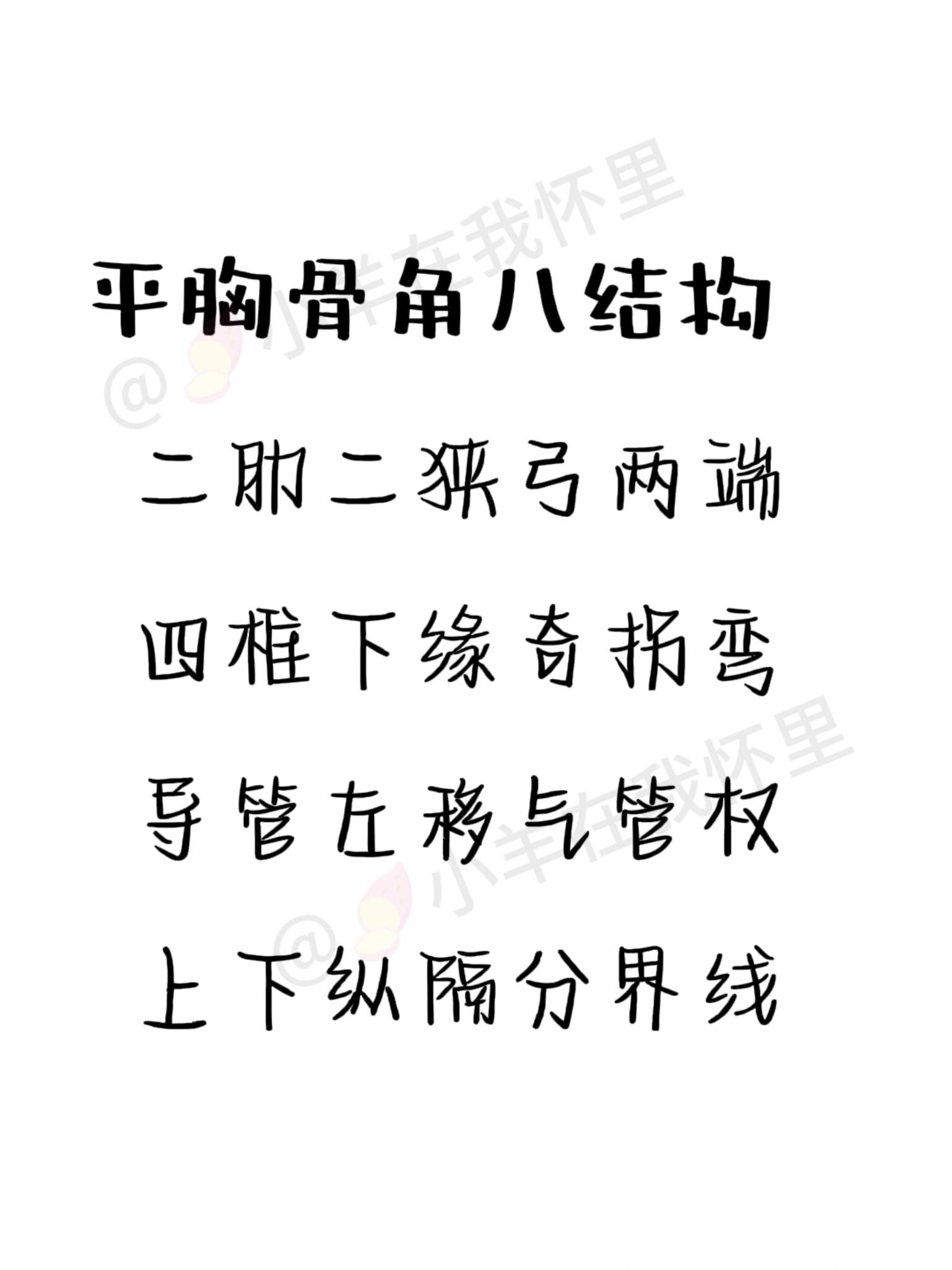 人体解剖学口诀|平胸骨角八结构 87口诀 平胸骨角八结构 二肋二狭弓