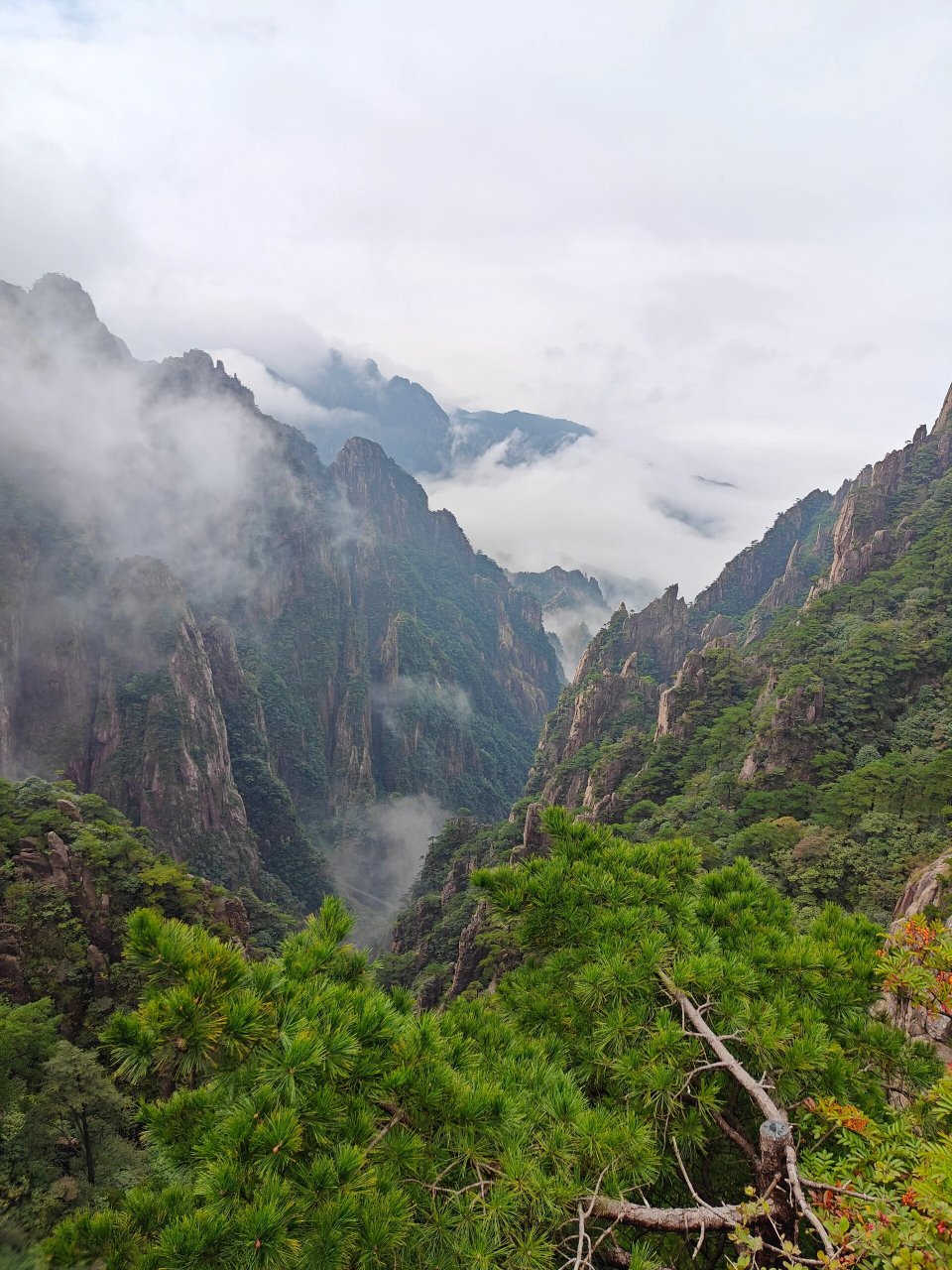 汤口镇到黄山风景区图片