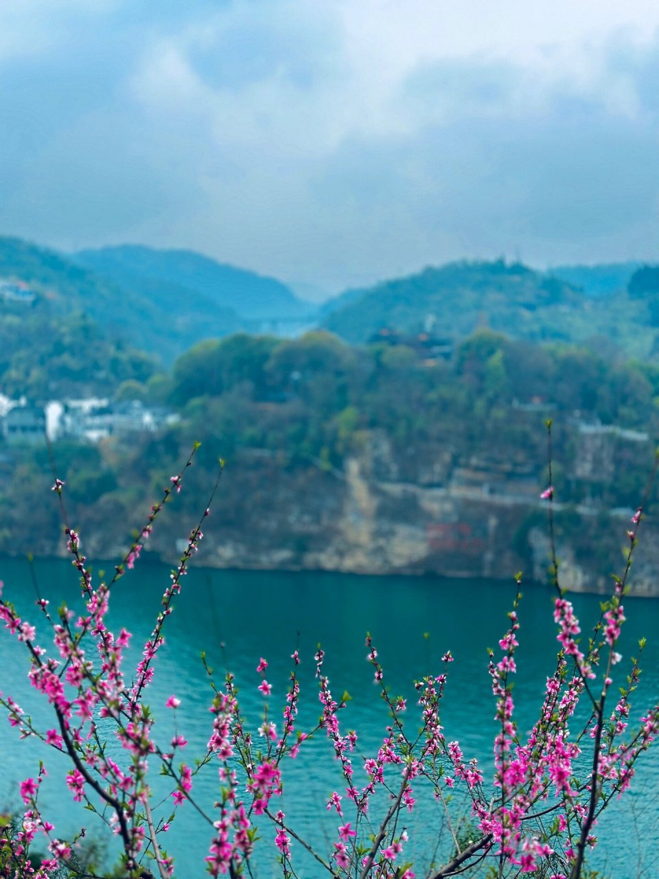 宜昌牛扎坪风景区图片