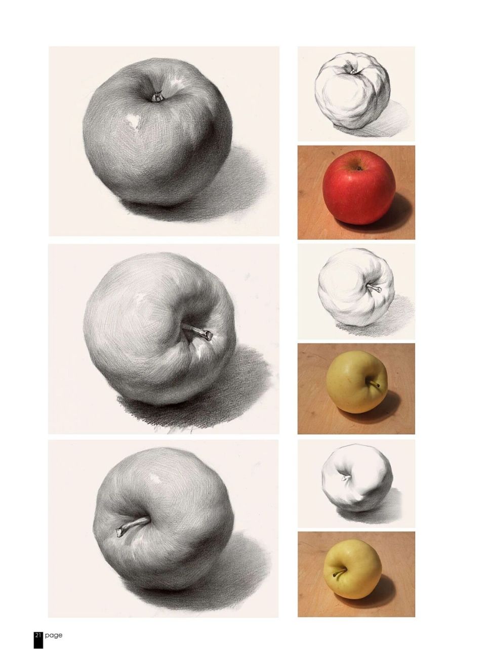 绘画素材 | 素描静物写生步骤图